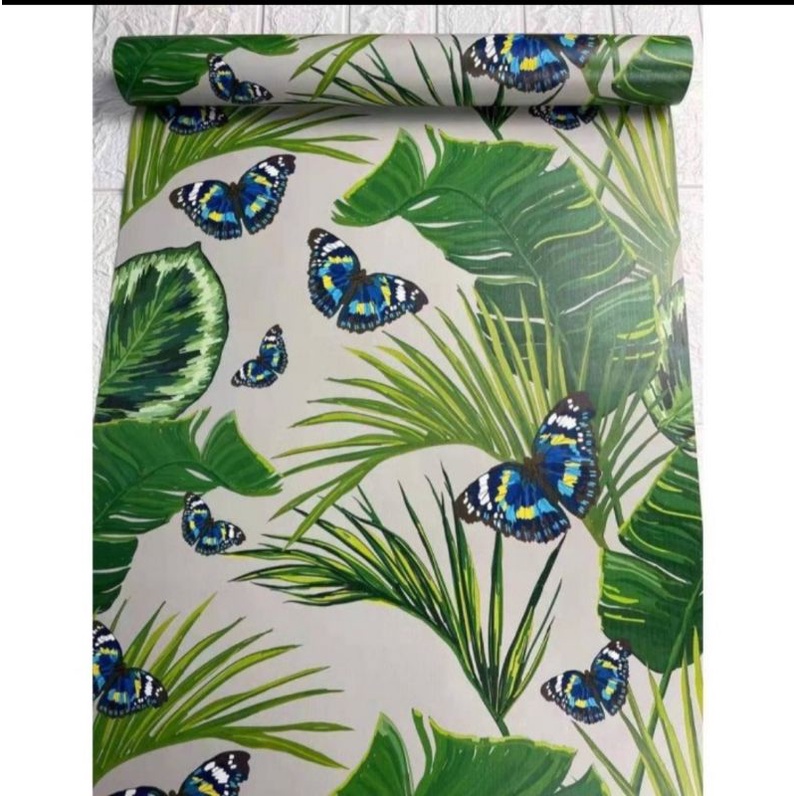 Jual Wallpaper Sticker Dinding Motif Bunga Monstera Kupukupu CY1219