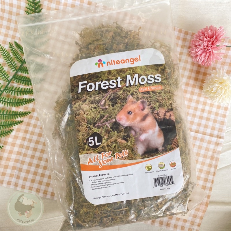 Jual Niteangel dried forest moss 10gr repacked cage decoration