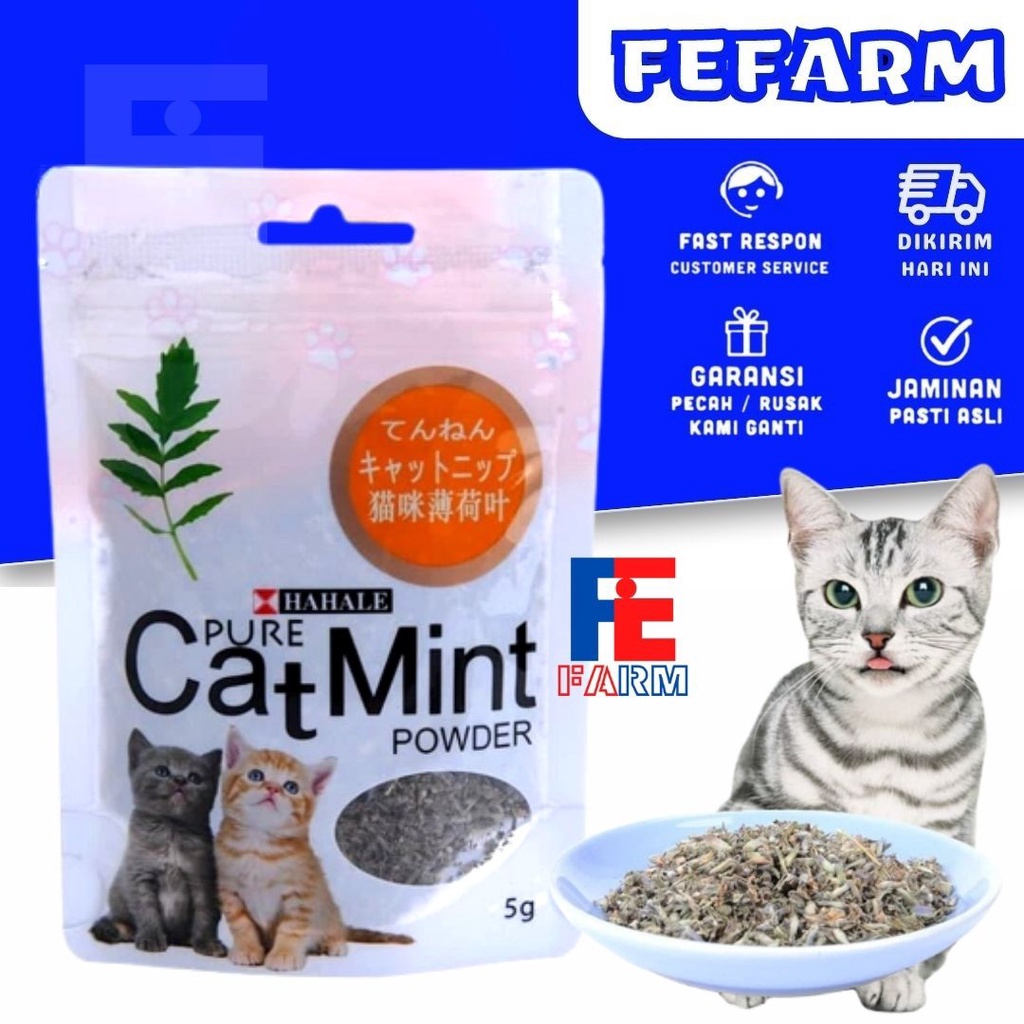 Jual Catnip catmint cat mint PURE CATMINT POWDER BIKIN FLY KUCING