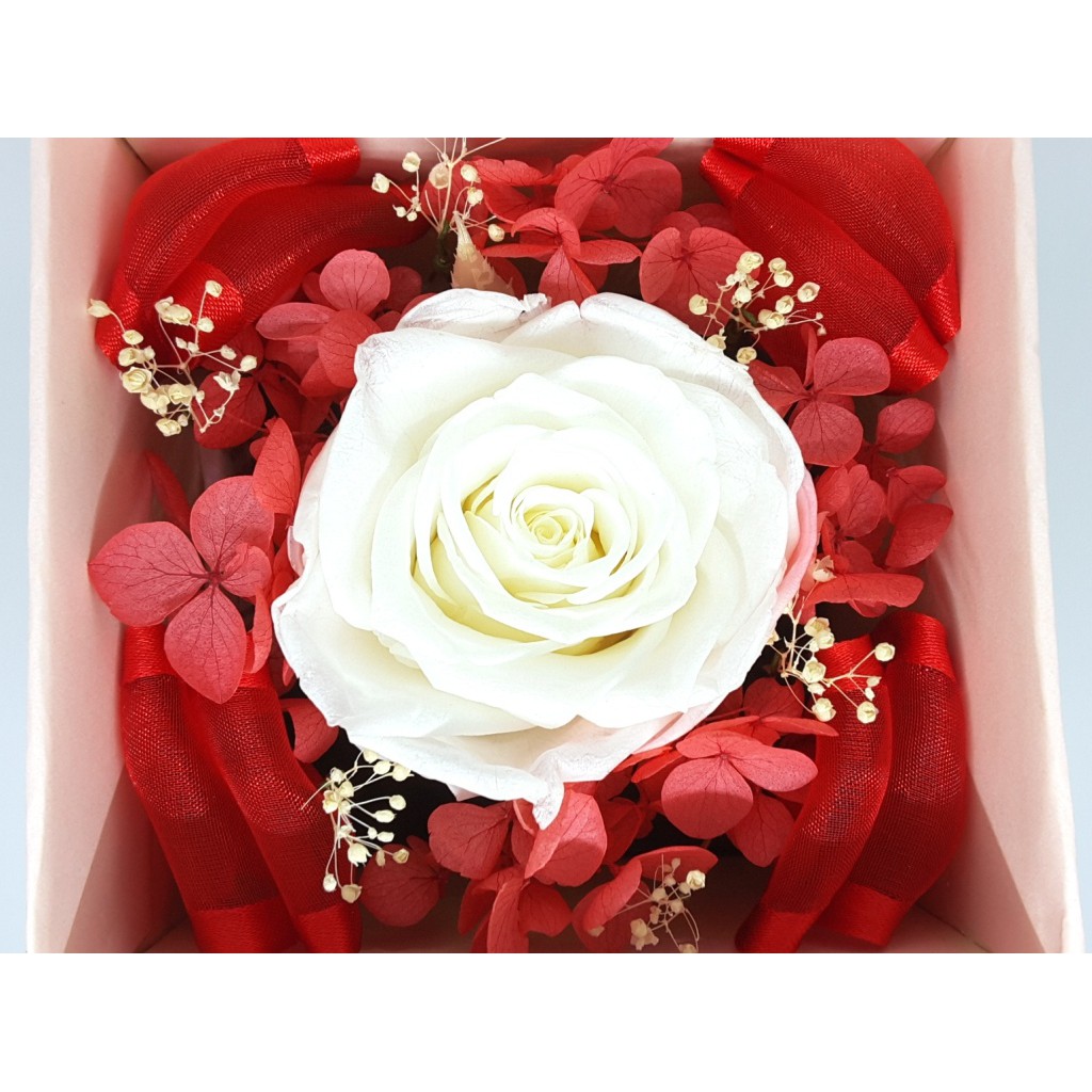 Jual Amefurashi Bloom Box White Rose Beauty Preserved Flower Uk 10 x10