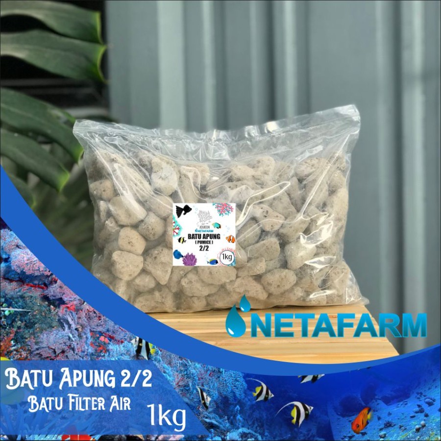 Jual Batu Apung Pumice Besar Media Filter Air Aquarium Aquascape 1kg
