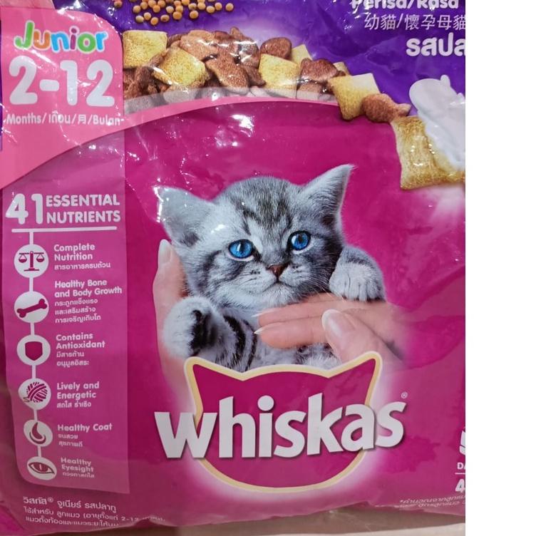 Jual Best! Whiskas JUNIOR MACKEREL 450gr Makanan Kering Kitten rasa