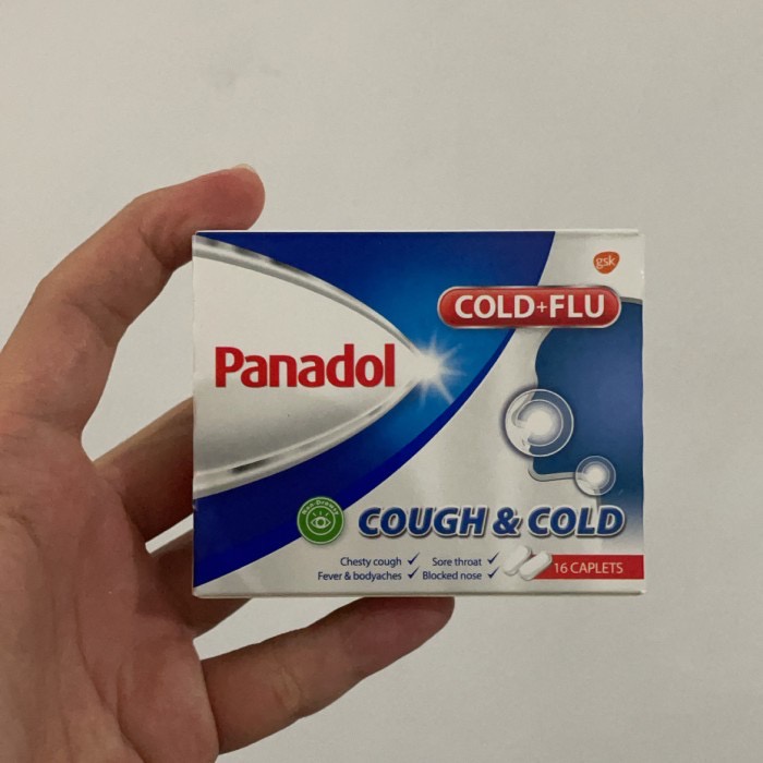 Jual panadol cough and cold singapore Shopee Indonesia