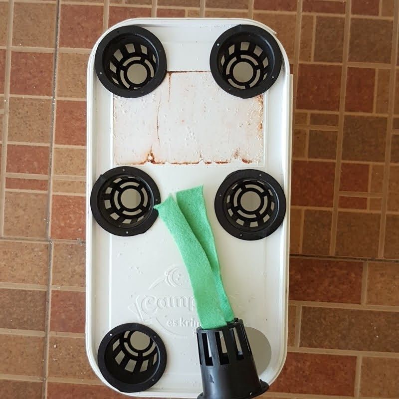 Jual dutch bucket wick ember hidroponik 6 lubang tanam Shopee Indonesia