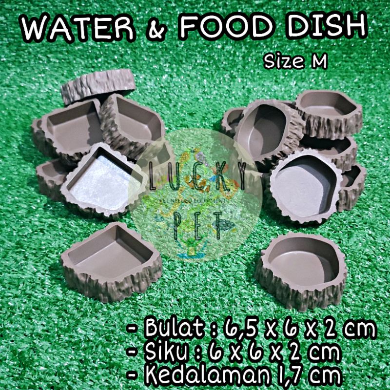 Jual Water dish MEDIUM feeding dish food worm calcium dish bowl mangkuk