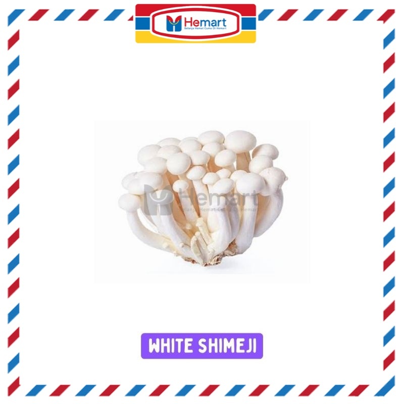 Jual JAMUR SHIMEJI PUTIH / WHITE SHIMEJI MUSHROOM PER PACK / JAMUR