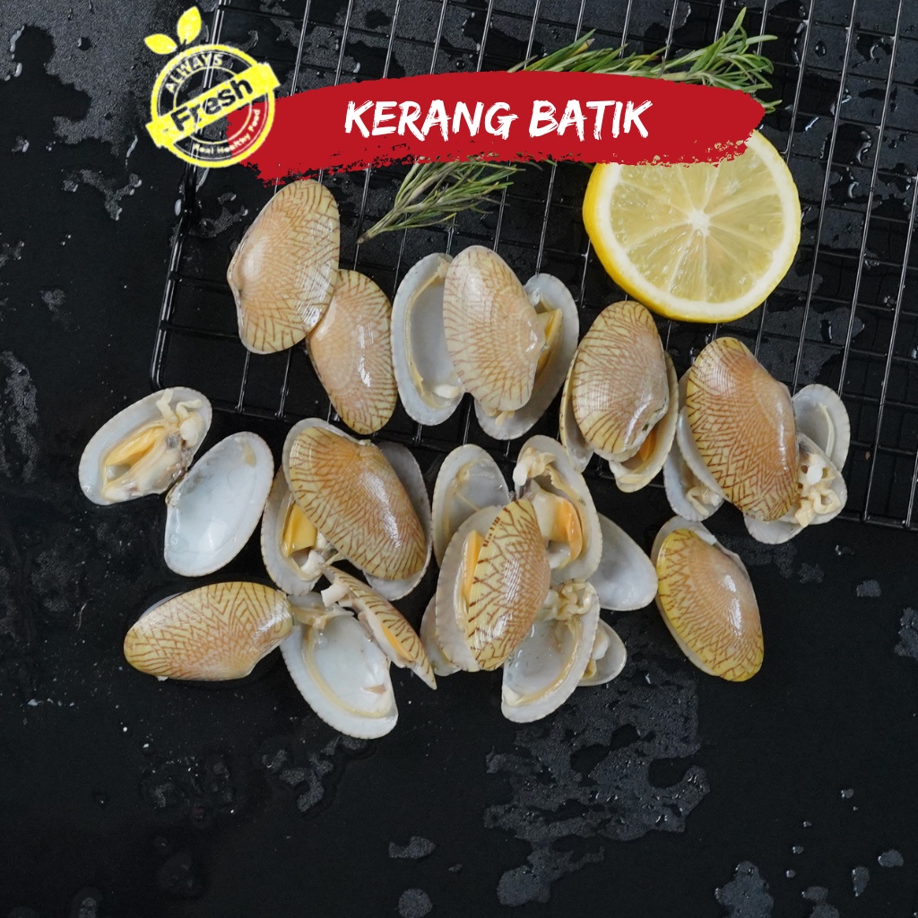 Jual Kerang Batik Fresh Frozen Termurah Shopee Indonesia