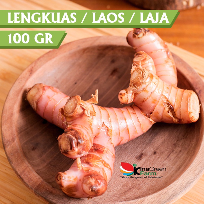 Jual Inagreen Farm Bandung Lengkuas / Laos / Laja 100 Gram Shopee