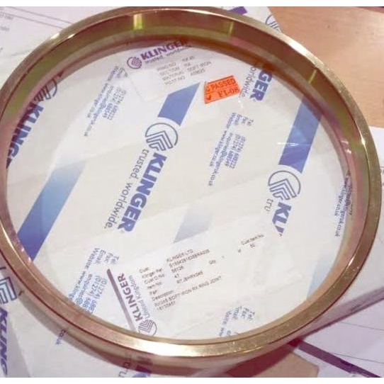 Jual Ring joint Gasket RTJ Octagonal Class 1500 R16 Soft iron Klinger