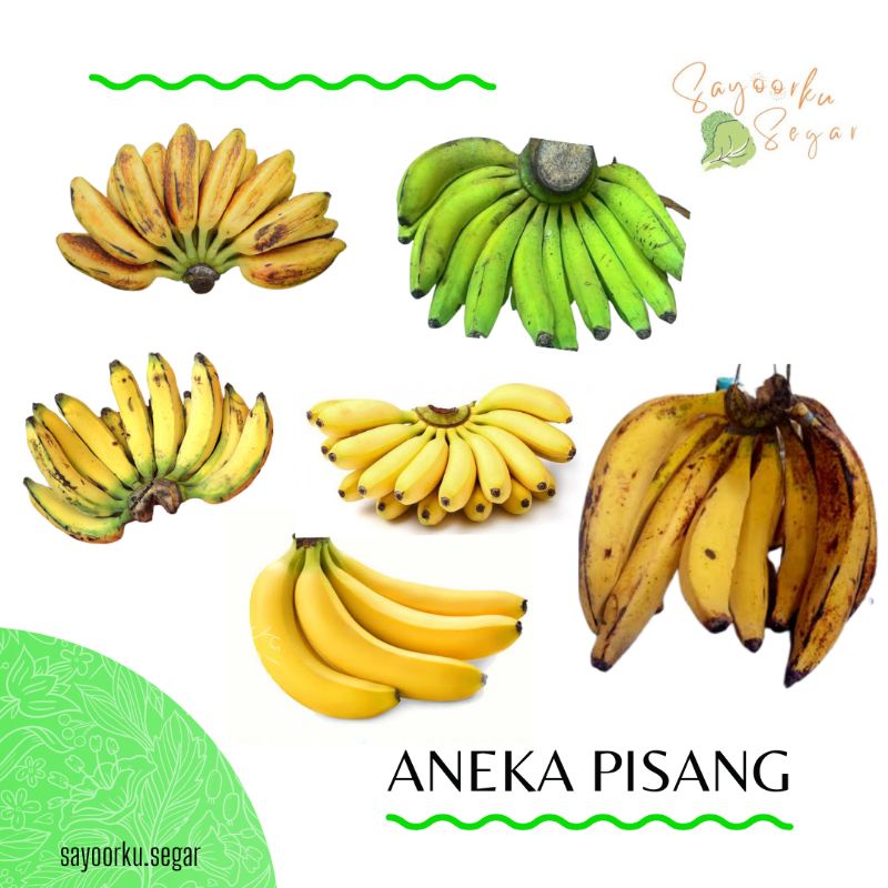 Jual Pisang Cavendish / pisang mas / pisang candi / kepok / ambon hijau