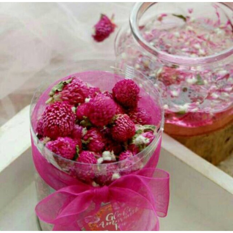 Jual Globe Amaranth Tea 50 gr (Teh bunga) Shopee Indonesia
