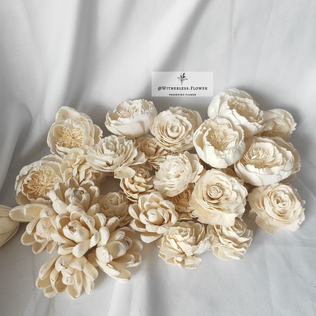 Jual Bunga Sola Wood Flowers 6 CM / Bunga Kayu Shopee Indonesia