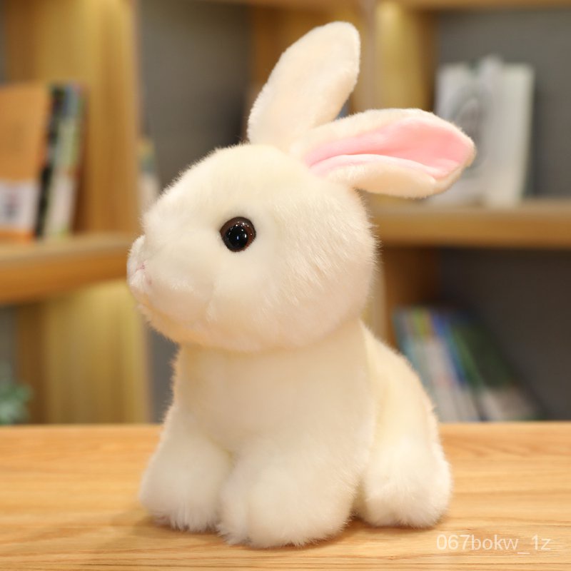 Jual Emulational Rabbit Plush Toy Korean Cute Bunny Doll Little White Rabbit Doll Teenage Girl's