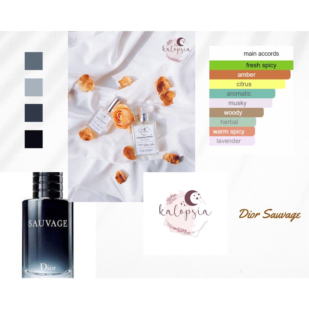 Jual Perfume & Candle Inspired by Sauvage (Used by Jay Enhypen