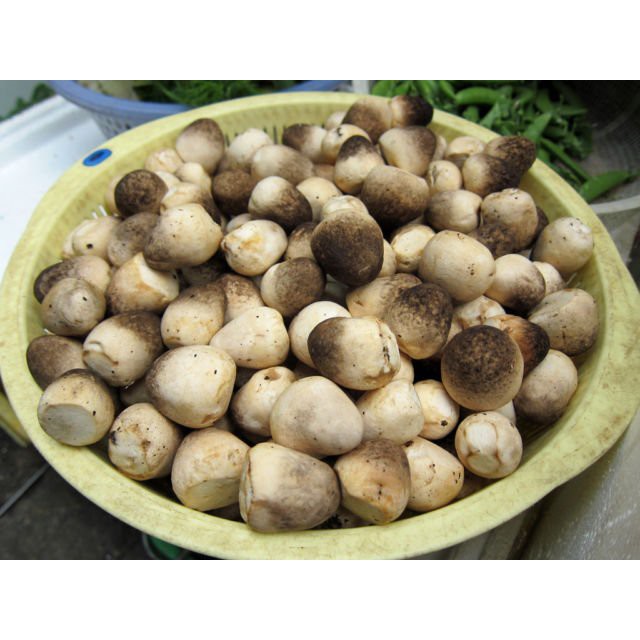 Jual Jamur Merang 250 gram Shopee Indonesia