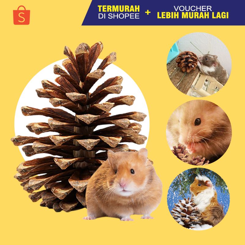 Jual PINE CONE Mainan Gigitan Hamster Mainan Hamster Dekorasi Kandang
