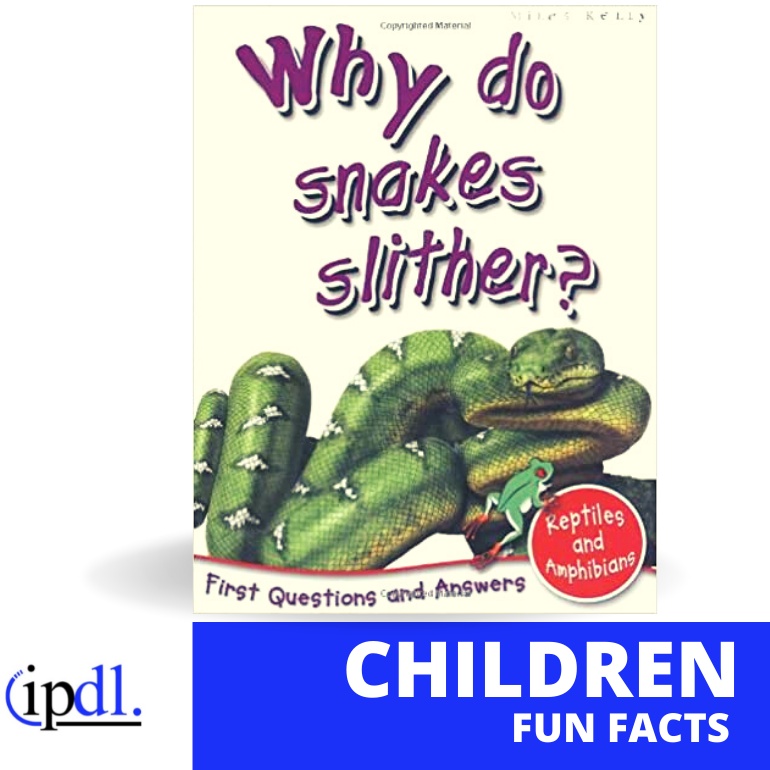 Jual Why Do Snakes Slither? Shopee Indonesia