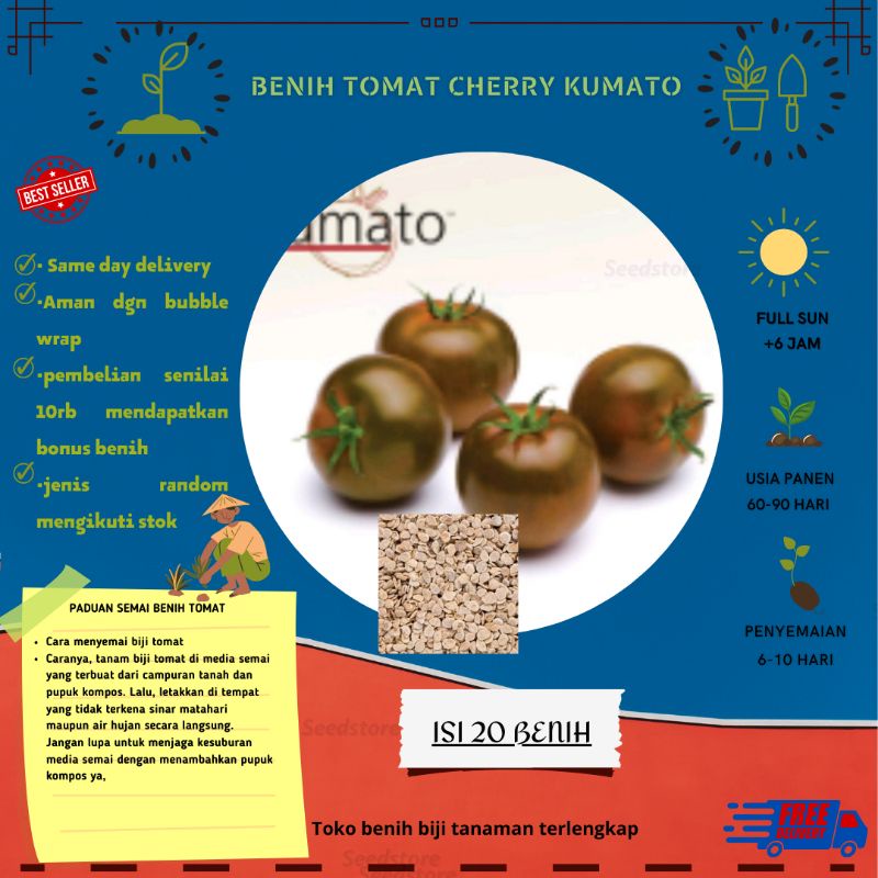 Jual 20 Biji Benih Kumato Tomato Seeds Shopee Indonesia