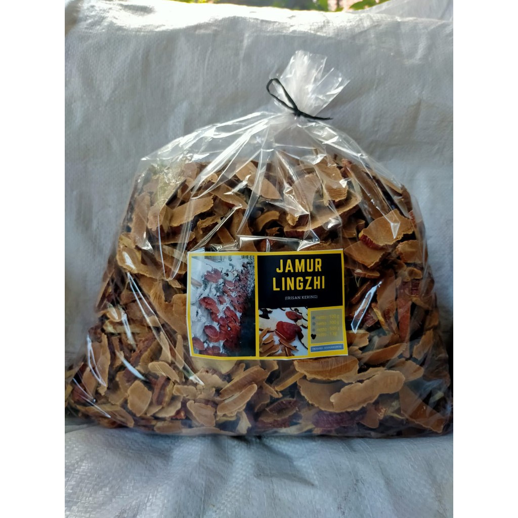 Jual Jamur Ling Zhi Lingzhi Ganoderma Kering 1 kg Shopee Indonesia