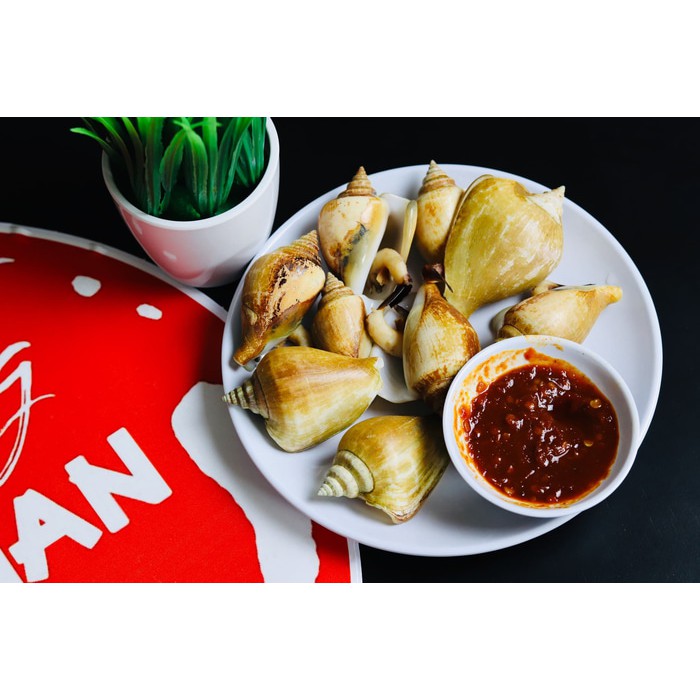 Jual Kerang Gonggong khas Tanjung Pinang Shopee Indonesia