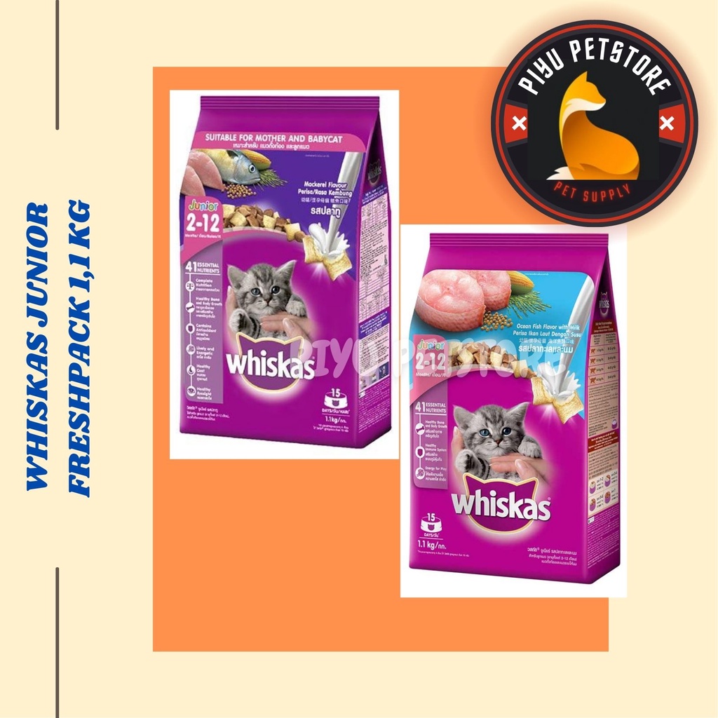 Jual Makanan Kucing WHISKAS JUNIOR Kitten Food 1.1 KG Shopee Indonesia