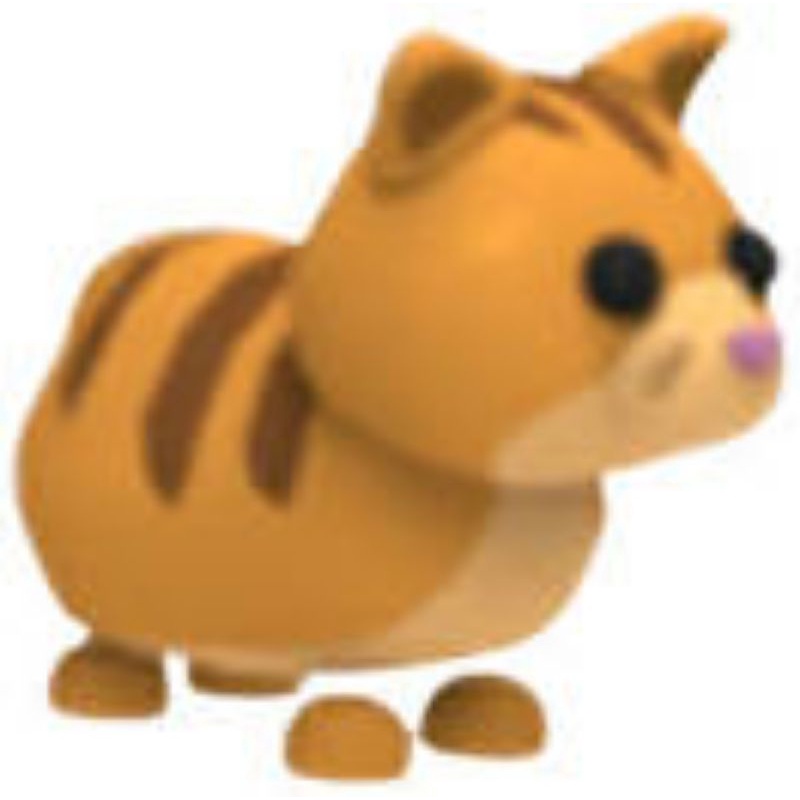 Jual Ginger cat Adopt me Shopee Indonesia