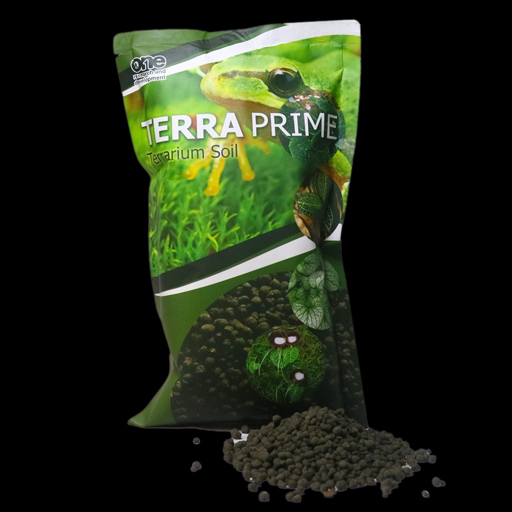 Jual TERRA PRIME TERRARIUM SOIL media tanam Terrarium atau Vivarium