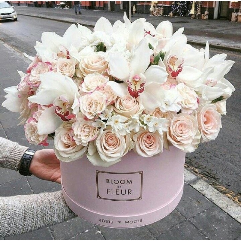 Jual The Hanna Florist Bloom Box Flower White Roses Big Stemps