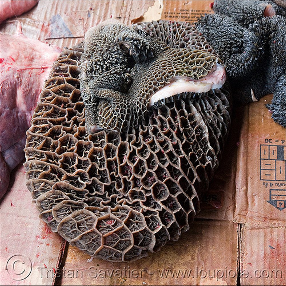 Jual Babat Sapi / Babat Hitam (Beef Black Tripe Calf Offal) Shopee