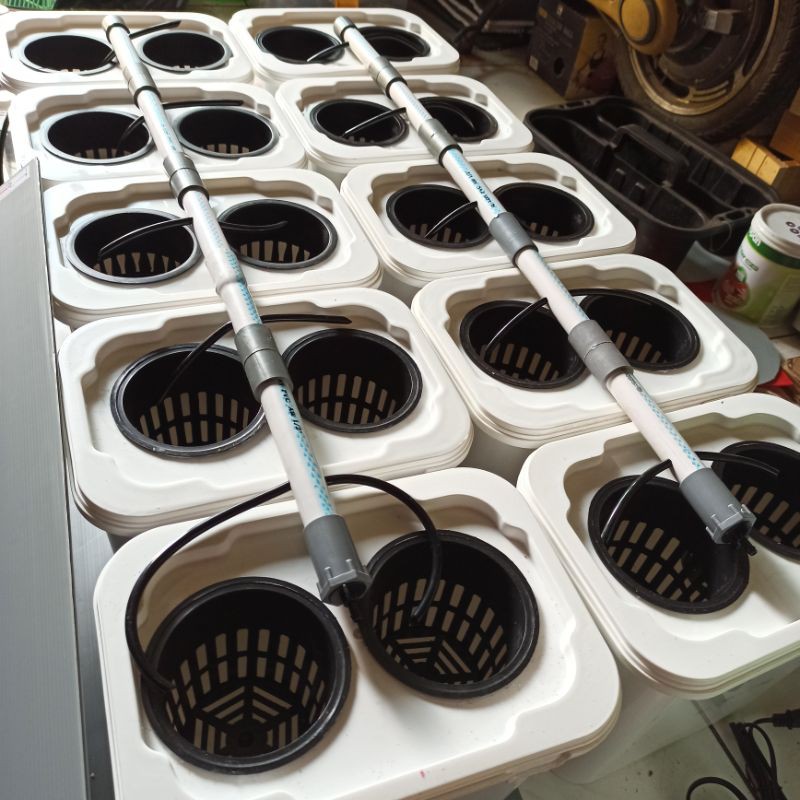 Jual media tanam dutch bucket hidroponik komplit set 10pcs kotak