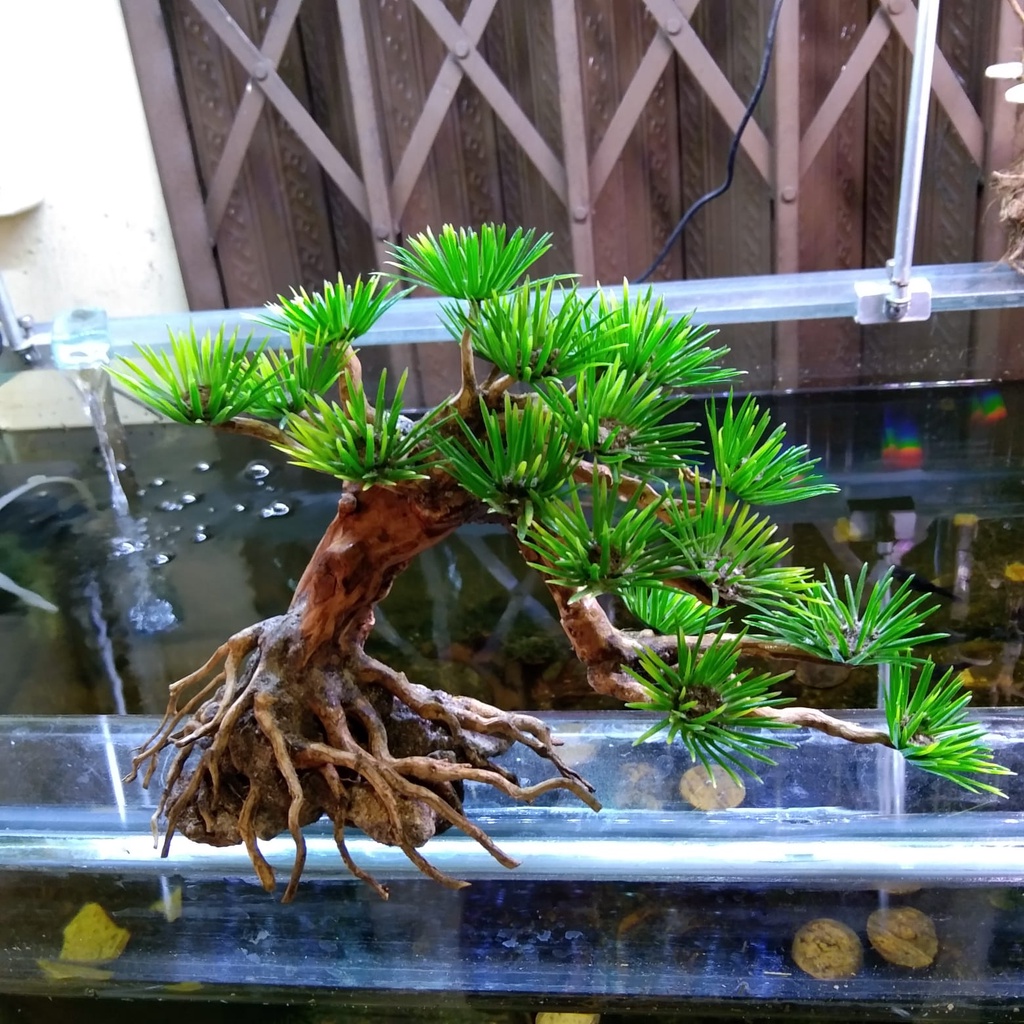 Jual pohon bonsai doyong mini daun plastik hiasan aquarium aquascape