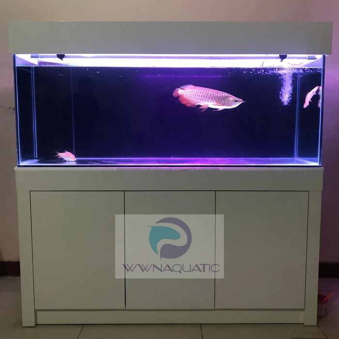 Jual Akuarium Aquarium Set 150Cm Paket Arwana Kekinian Terlaris