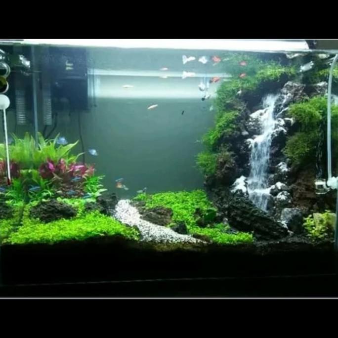 Jual aquarium aquascape jadi full set lengkap air terjun Shopee Indonesia