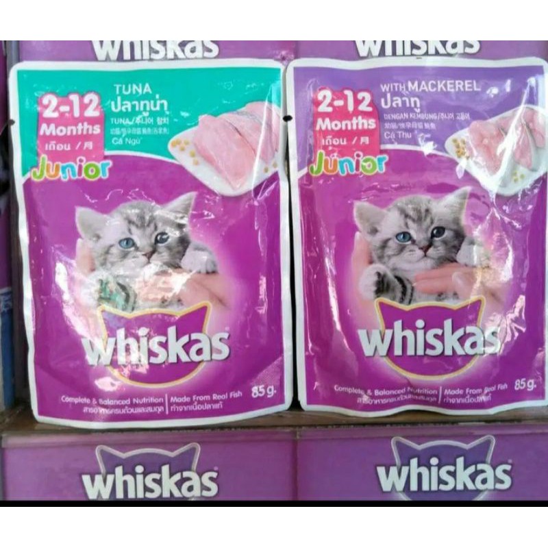 Jual whiskas pouch Junior Tuna & Makarel 85gr 1 dus isi 24 sachet