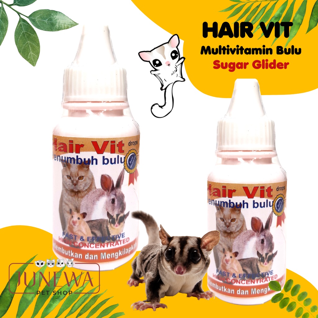 Jual Vitamin Bulu Sugar Glider HAIR VIT Shopee Indonesia