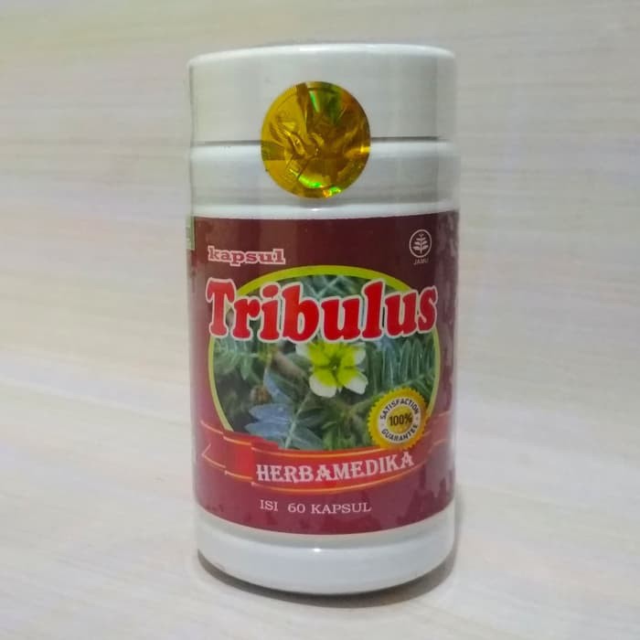 Jual kapsul TRIBULUS HERBAMEDIKA 60 kapsul herba medika 60 kps Shopee