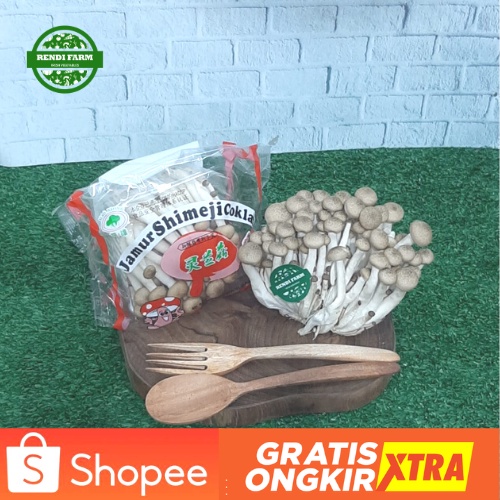 Jual JAMUR/ JAMUR SHIMEJI COKLAT/ JAMUR SHIMEJI/ SHIMEJI SEGAR Shopee