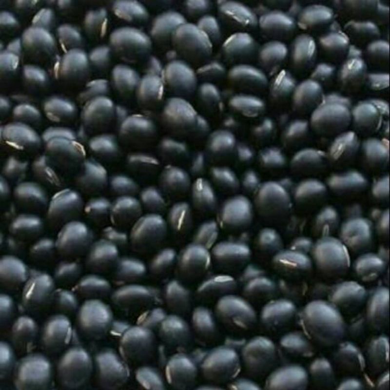 Jual 1 KG KEDELAI HITAM KEDELAI MALIKA Shopee Indonesia(04)
