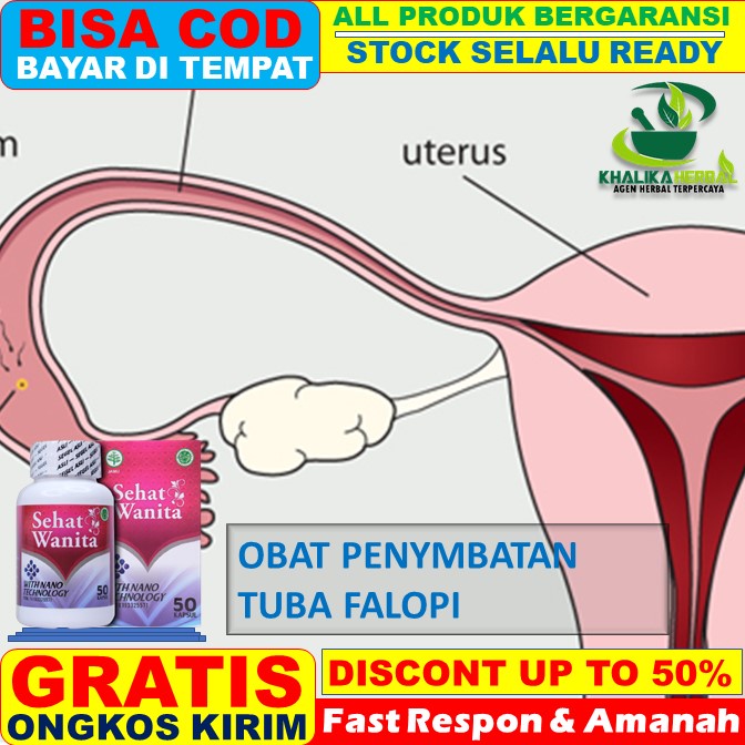 Jual obat penyumbatan tuba falopi obat tuba falopi tersumbat