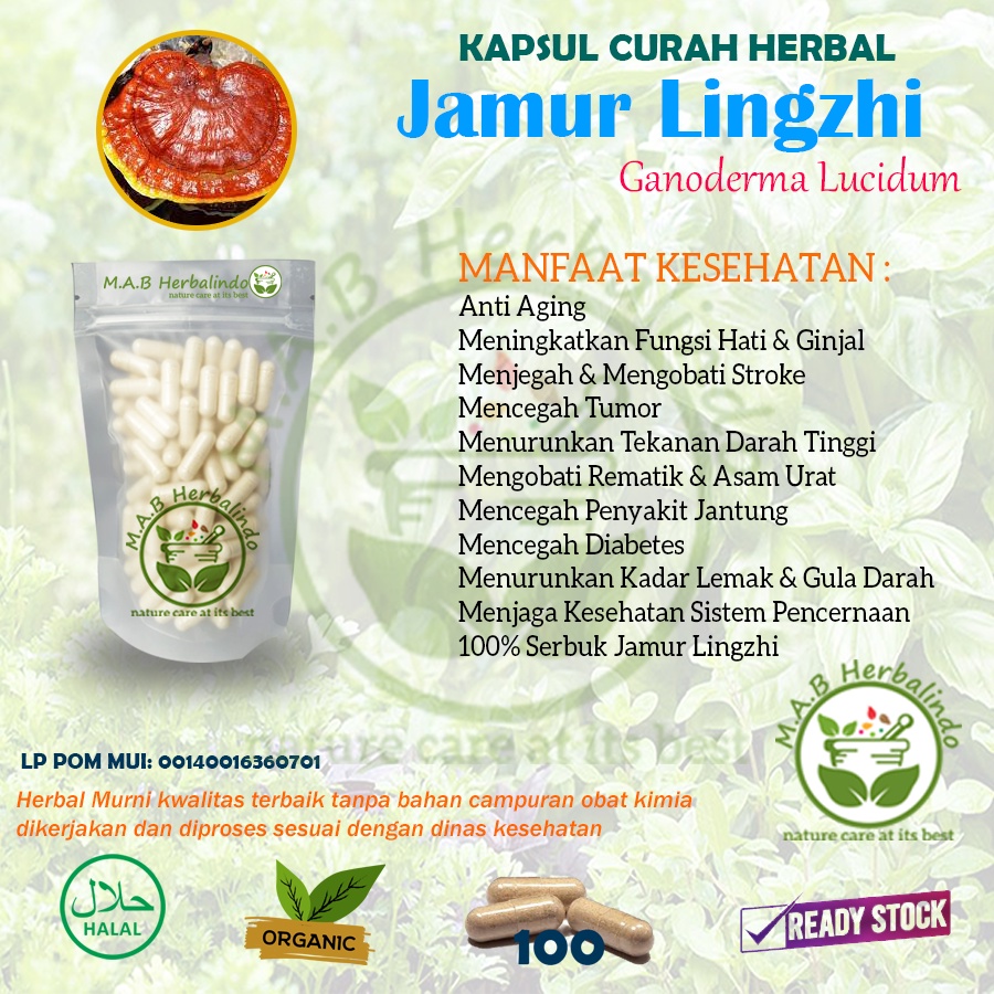 Jual JAMUR LINGZHI 100 Kapsul Herbal Antioksidan Anti Aging Kesehatan Otak Shopee Indonesia