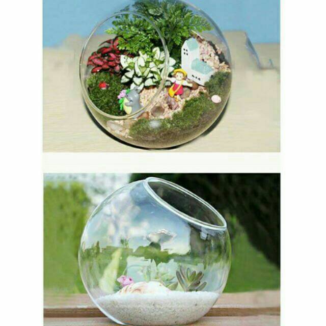 Jual Terrarium dome bola kaca dekorasi terrarium vas kaca bahan
