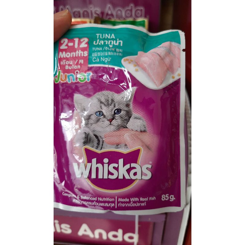 Jual whiskas sachet tuna junior 85g Shopee Indonesia