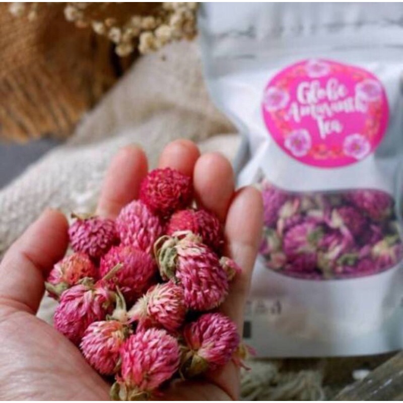 Jual Globe Amaranth Tea sachet 10gr (Teh bunga) Shopee Indonesia