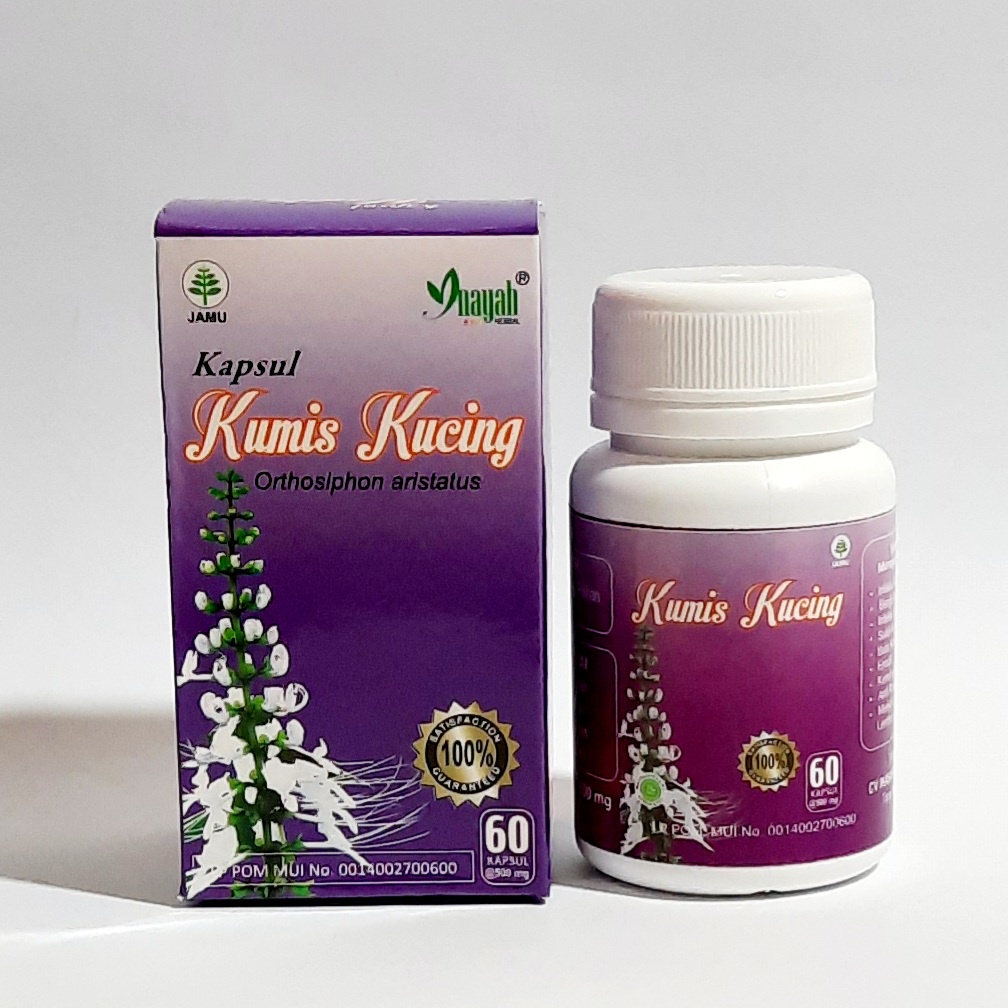 Jual Kapsul Herbal Kumis Kucing Atasi Batu Ginjal Shopee Indonesia