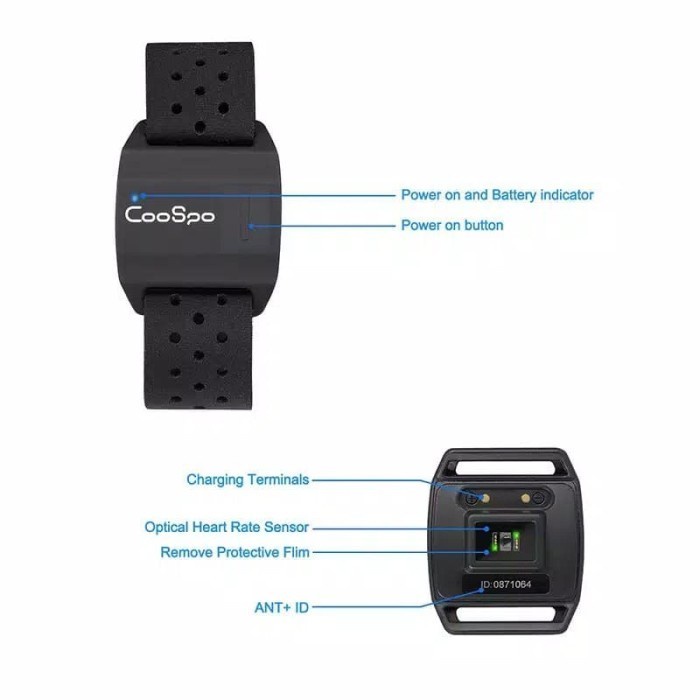 Jual Coospo Heart Rate Sensor (Heart Rate Armband Monitor Bluetooth