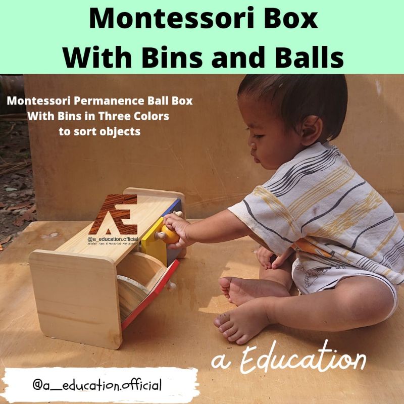 Jual Montessori Box With Bins and Balls Shopee Indonesia