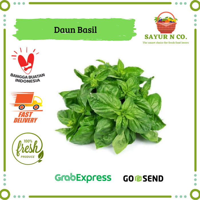 Jual Daun Basil Basil Sweet Italian Basil Leaves Segar Sayur N Co