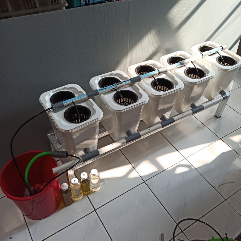 Jual Paket komplit media tanam hidroponik Dutch Bucket isi 5 Shopee