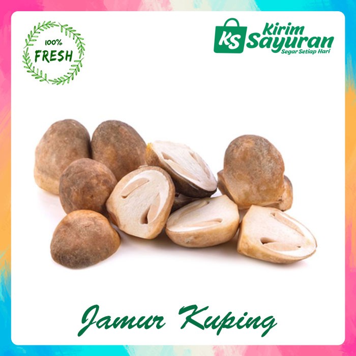 Jual Jamur Merang (250 gr) Shopee Indonesia
