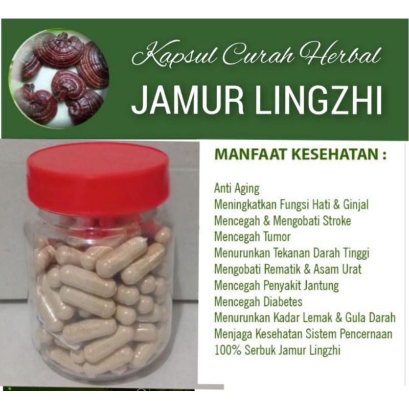 Jual JAMUR LINGZHI 100 KAPSUL FUNGSI DAN HATI KEMASAN BOTOL Shopee Indonesia